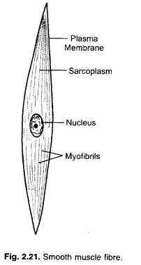 ncert-solutions-for-class-9-science-chapter-6-11